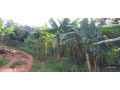 plot-for-sale-in-gisasa-atagood-place-small-2