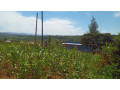 large-plot-for-sale-in-bugesera-small-6