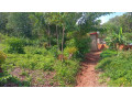 rebero-property-for-sale-small-9