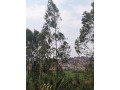 prime-land-for-sale-in-kagugu-multi-zone-development-opportunity-small-6