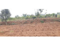 land-for-sale-in-bugesera-rilima-near-airport-of-rwanda-hot-deal-small-0