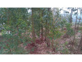 kigali-land-for-sale-in-rebero-rujugiro-small-8