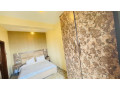 gishushu-fully-furnished-1bedroom-apartment-for-rent-at-500k350-in-good-location-small-5
