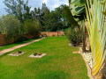kigali-beautiful-house-available-for-sale-in-remera-small-3
