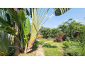 kigali-house-for-rent-in-kimihurura-small-0