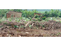 property-for-sale-in-masaka-small-2