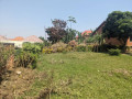 kigali-house-for-sale-in-kanombe-victory-small-9