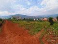 birembo-small-4