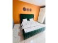 nyarutarama-furnished-apartment-for-rent-small-1
