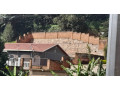 plot-with-old-house-for-sale-small-4