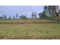 rwamagana-muhszi-vitenge-land-for-sale-small-3