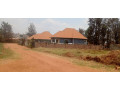kimironko-zindiro-kinyaga-plot-for-sale-small-1