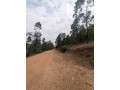 prime-land-for-sale-in-kagugu-multi-zone-development-opportunity-small-5