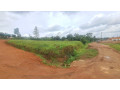 ikibanza-kigurishwa-kinyinya-small-4