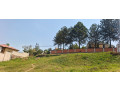 nyarutarama-plot-for-sale-500m-small-3
