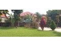 beautiful-house-for-sale-at-kanobme-small-2