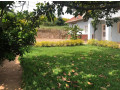 kacyiru-plot-for-sale-small-1
