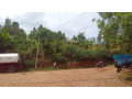 kigali-land-for-sale-in-nyamirambo-small-0