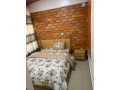 fully-furnished-apartment-for-rent-in-kigali-remera-small-4