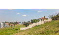 nyarutarama-plot-for-sale-500m-small-4