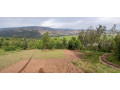jabana-plot-for-sale-small-5
