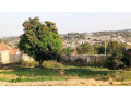remera-residential-plot-for-sale-600million-small-1