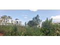 rusororo-plot-for-sale-150m-small-4