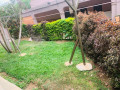 ep-062a-kiyovu-kiyovu-well-furnished-apartment-for-rent-at-lowest-price-at-450k-rwf-small-9