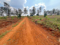 bugesera-residential-plot-for-sale-in-kanzenze-small-6