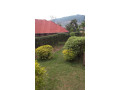 largest-land-for-sale-with-a-house-small-10