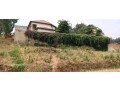 kagugu-residential-plot-for-sale-45million-small-1