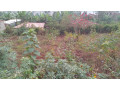 kigali-land-for-sale-in-rebero-facing-nyamirambo-side-small-9