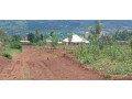 plot-for-sale-in-muyumbu-at-agood-place-small-1