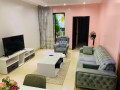 ep-103-remera-remera-gisimentigishushu-nearby-chez-lando-hotel-nice-apartment-for-rent-with-utilities-small-3