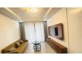 kacyiru-1-bedroom-furnished-apartment-for-rent-in-kigali-small-6