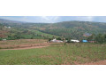 plot-for-sale-at-rwamagana-kwa-gakwerere-small-0