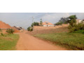 plot-for-sale-in-birembo-small-2