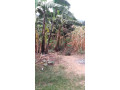 largest-land-for-sale-with-a-house-small-12