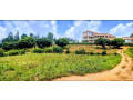 ikibanza-tugurisha-35m-kimironko-zindiro-small-3