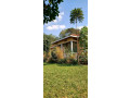 kigali-unfurnished-house-available-for-rent-in-kiyovu-small-0