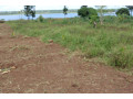 land-for-sale-in-bugesera-ririma-near-airport-of-rwanda-hot-deal-small-1