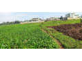 kinyinya-plot-for-sale-small-4