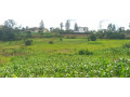 kinyinya-birembo-plot-for-sale-small-1