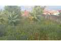 kigali-land-for-sale-in-nyamirambo-small-4