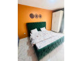 nyarutarama-furnished-apartment-for-rent-small-3