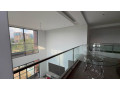 modern-luxury-penthouse-kigali-small-6