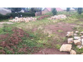 bere-109-meb-kamonyi-plot-for-sale-in-nice-neighborhood-small-1