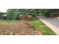 kibagabaga-small-1
