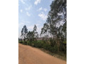 prime-land-for-sale-in-kagugu-multi-zone-development-opportunity-small-7