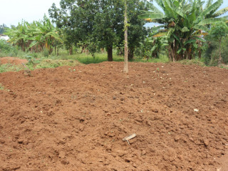 Land for sale in Bugesera near airport of Rwanda